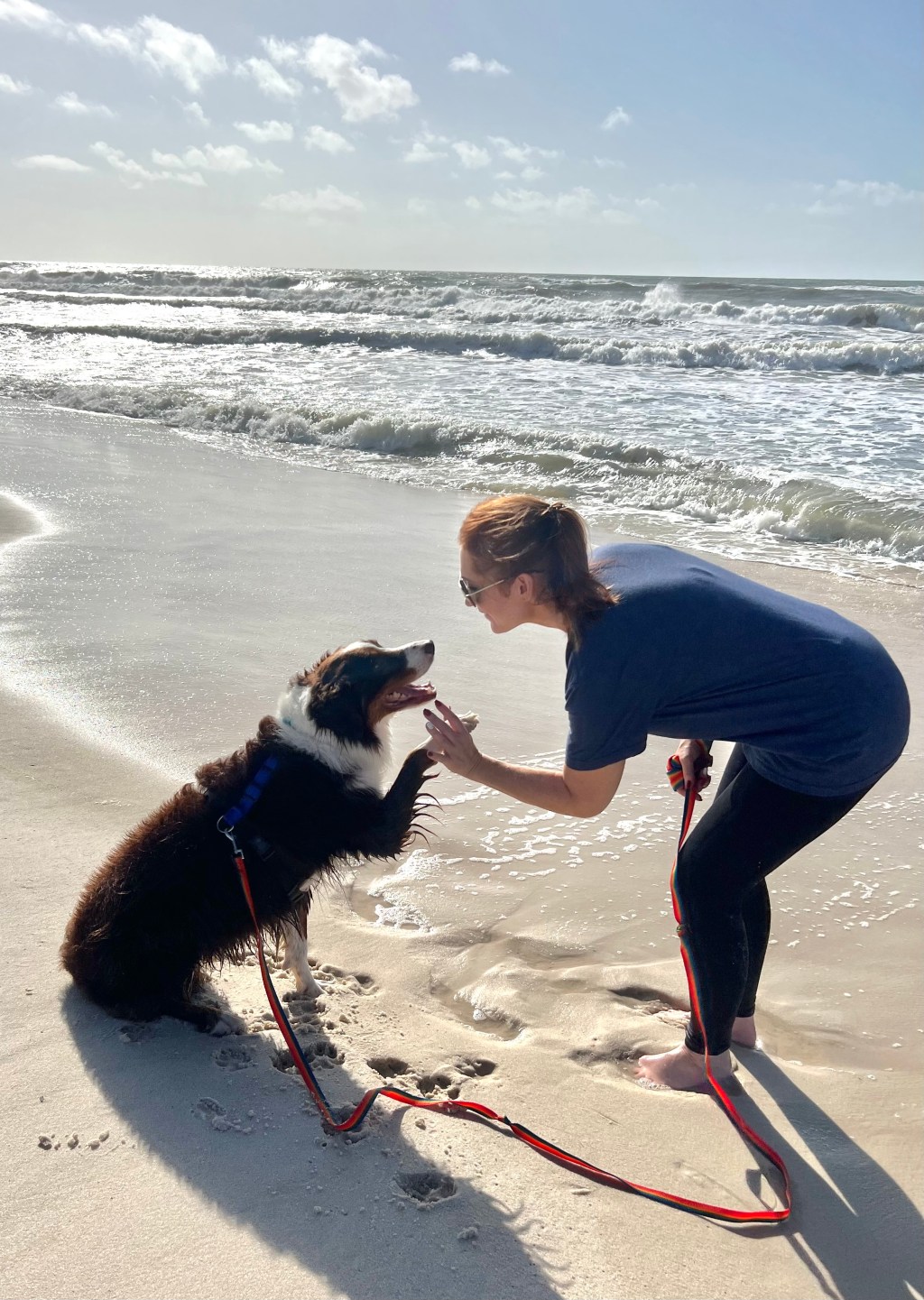 To the Dog Parents Who Are Doing Their Best: I See You&nbsp;❤️