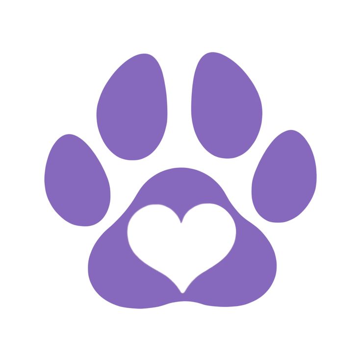 Epi Dog Survival Toolkit: Seizure Log & Support 💜