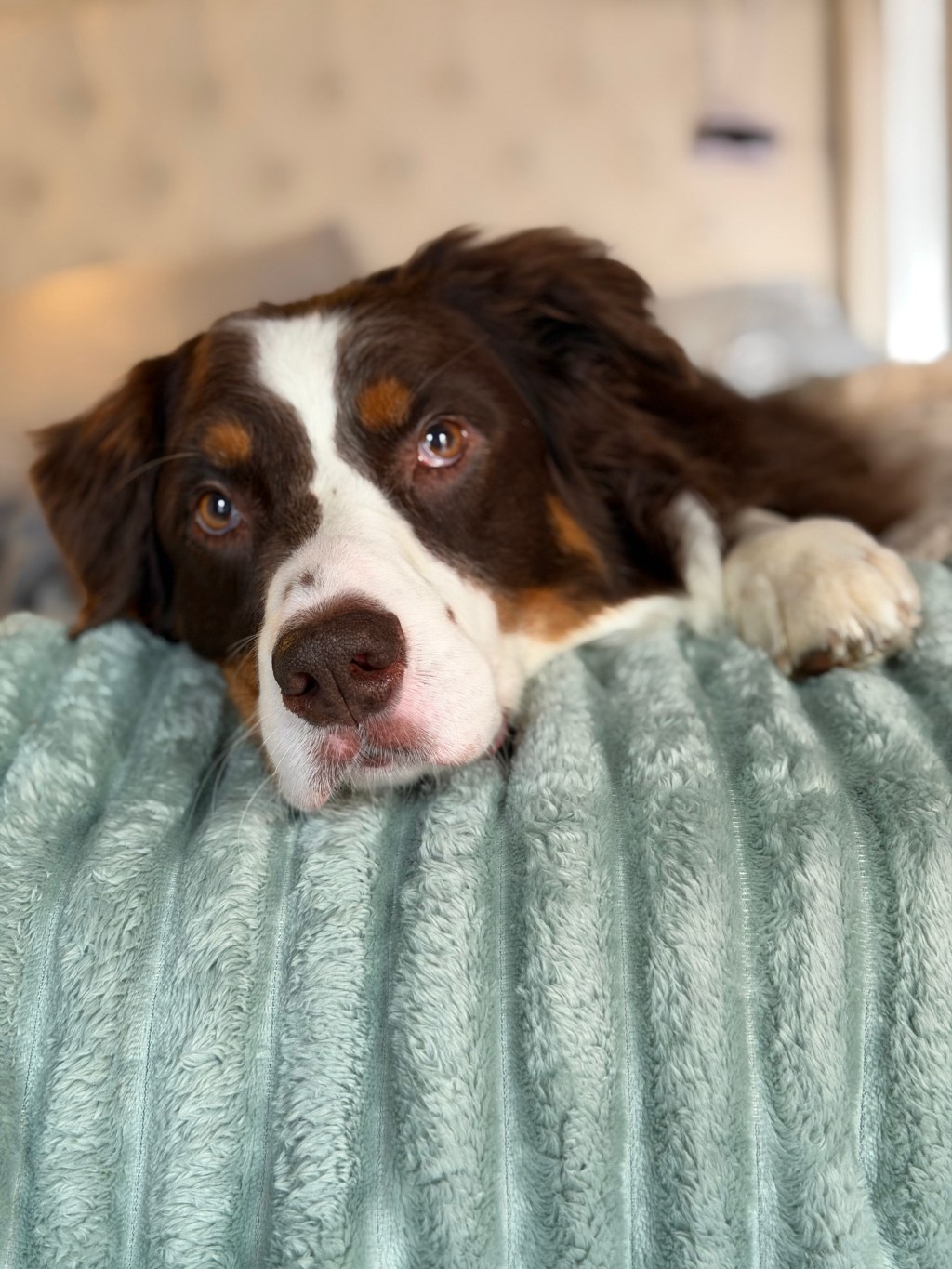 A Hard Season: An Update on Forrest’s Epilepsy Journey